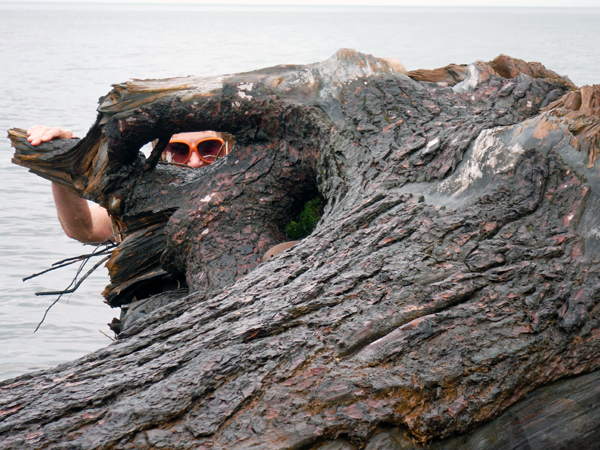 Karen Duquette and the periscope tree